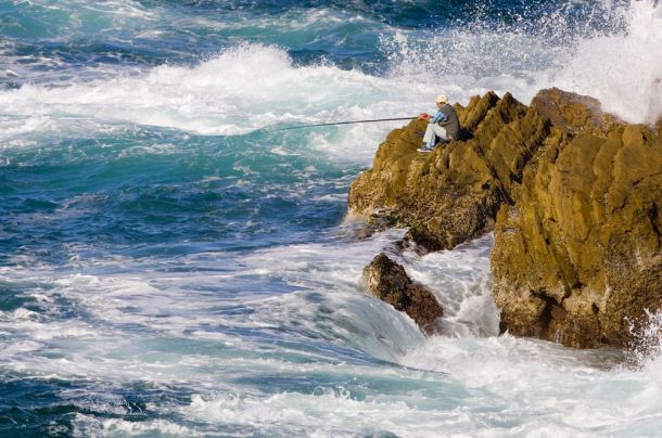 This month’s WAECO winner is….